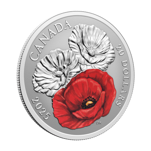 1 oz 2025 Remembrance Day Colourized Silver Coin | Royal Canadian Mint