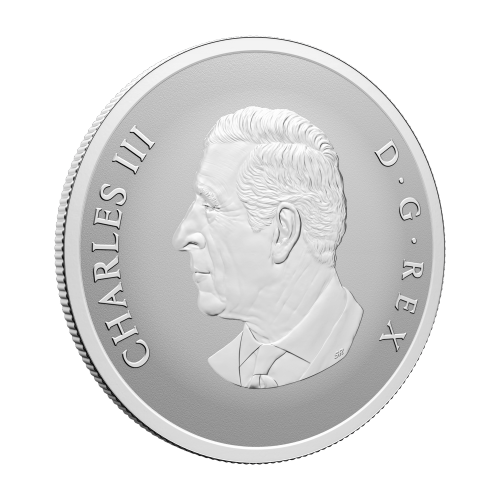 1 oz 2025 Remembrance Day Colourized Silver Coin | Royal Canadian Mint