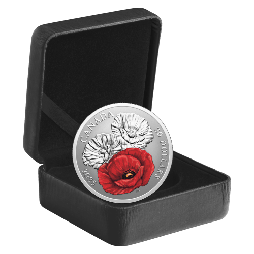 1 oz 2025 Remembrance Day Colourized Silver Coin | Royal Canadian Mint