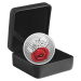 1 oz 2025 Remembrance Day Colourized Silver Coin | Royal Canadian Mint