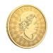 2 oz 2024 Proud Maple Leaf Red Enamel Reverse Proof Gold Coin | Royal Canadian Mint