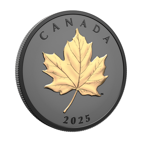 1 oz 2025 Elegant Maple Black Rhodium Plated Gilded Proof Silver Coin | Royal Canadian Mint