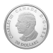 1 oz 2025 Legend of The Dreamcatcher Proof Silver Coin | Royal Canadian Mint