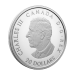 1 oz 2025 Legend of The Dreamcatcher Proof Silver Coin | Royal Canadian Mint