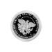 1/10 oz Random Year American Eagle Proof Platinum Coin | United States Mint