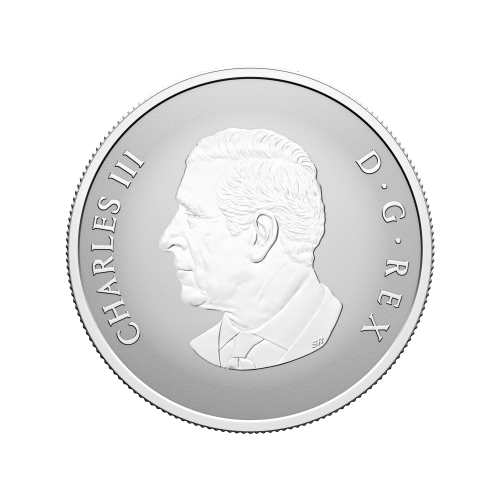1/2 oz 2026 Welcome to the World: Baby Gift Silver Coin | Royal Canadian Mint