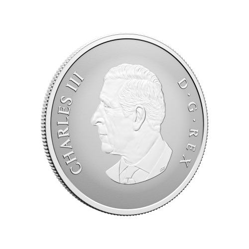 1/2 oz 2026 Welcome to the World: Baby Gift Silver Coin | Royal Canadian Mint