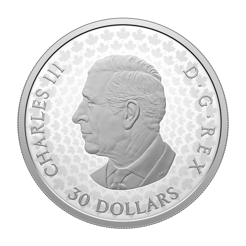 2026 Precious Maple Leaves Proof Silver Coin | Royal Canadian Mint