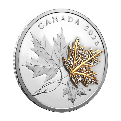 2026 Precious Maple Leaves Proof Silver Coin | Royal Canadian Mint
