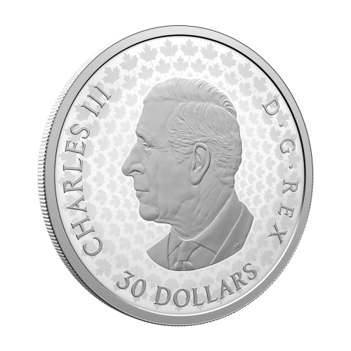 2026 Precious Maple Leaves Proof Silver Coin | Royal Canadian Mint