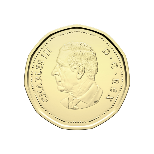 2026 Collectors Edition Lucky Loonie $1 Coin Roll | Royal Canadian Mint
