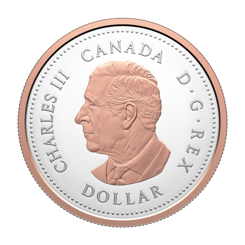 Set of 7 x 2026 100th Anniversary of the Royal Canadian Legion Silver Coin and Proof Dollars | Royal Canadian Mint