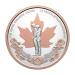 Set of 7 x 2026 100th Anniversary of the Royal Canadian Legion Silver Coin and Proof Dollars | Royal Canadian Mint
