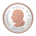 Set of 7 x 2026 100th Anniversary of the Royal Canadian Legion Silver Coin and Proof Dollars | Royal Canadian Mint