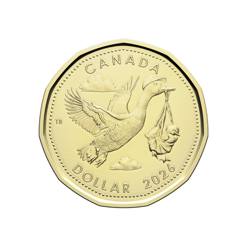 Set of 5 x 2026 Newborn Baby Gift Coins | Royal Canadian Mint