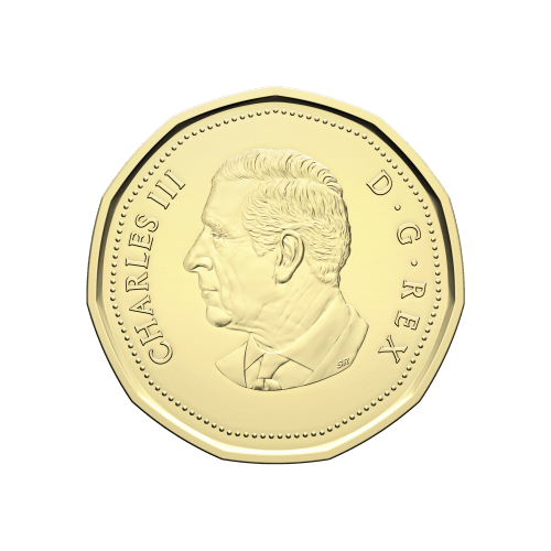 Set of 5 x 2026 Newborn Baby Gift Coins | Royal Canadian Mint