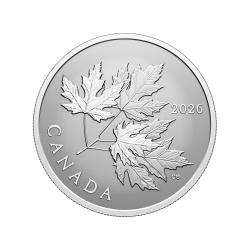 1/2 oz 2026 Gleaming Maple Leaves Reverse Proof Silver Coin | Royal Canadian Mint