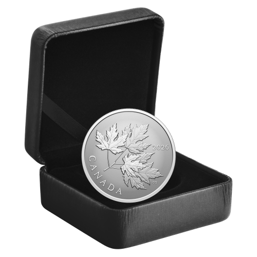 1/2 oz 2026 Gleaming Maple Leaves Reverse Proof Silver Coin | Royal Canadian Mint