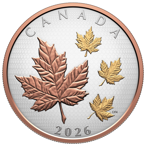 5 oz 2026 Maple Leaves in Motion Rose Gold Plated Proof Silver Coin | Royal Canadian Mint