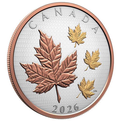 5 oz 2026 Maple Leaves in Motion Rose Gold Plated Proof Silver Coin | Royal Canadian Mint