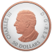 5 oz 2026 Maple Leaves in Motion Rose Gold Plated Proof Silver Coin | Royal Canadian Mint