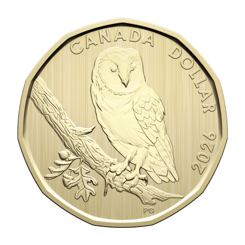 Set of 6 x 2026 Conservation Stories: Barn Owl Specimen Coins | Royal Canadian Mint