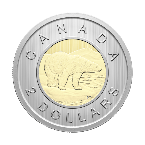Set of 6 x 2026 Conservation Stories: Barn Owl Specimen Coins | Royal Canadian Mint