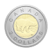 Set of 6 x 2026 Conservation Stories: Barn Owl Specimen Coins | Royal Canadian Mint