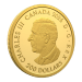 1 oz 2026 FIFA World Cup: We All Play Together Proof Gold Coin | Royal Canadian Mint