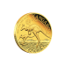 1/4 oz 2026 Australian Kangaroo High Relief Proof Gold Coin | Perth Mint