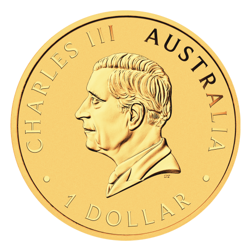 1 oz Hobart Money Expo ANDA Show: Australian Nugget Gold Plated Proof Silver Coin | Perth Mint