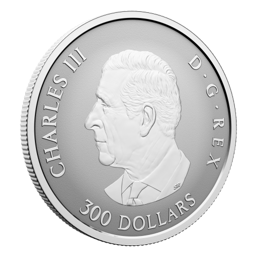 1 oz 2026 Maple Leaf Forever Reverse Proof Platinum Coin | Royal Canadian Mint