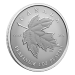 1 oz 2026 Maple Leaf Forever Reverse Proof Platinum Coin | Royal Canadian Mint