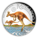 1 oz 2026 Australian Kangaroo High Relief Colourized Proof Silver Coin | Perth Mint