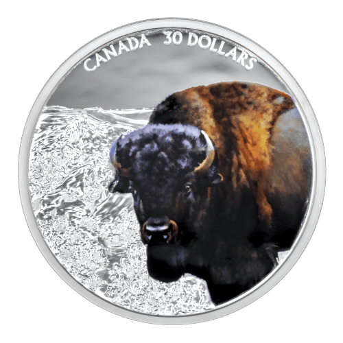 Set of 4 x 2 oz 2020 Imposing Icons Proof Silver Coins | Royal Canadian Mint
