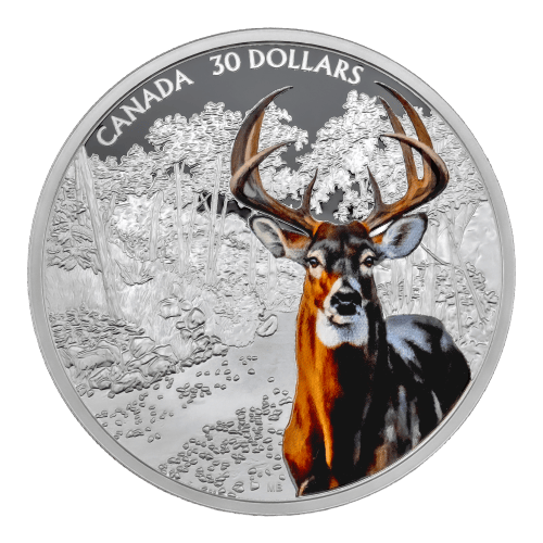 Set of 4 x 2 oz 2020 Imposing Icons Proof Silver Coins | Royal Canadian Mint