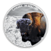 Set of 4 x 2 oz 2020 Imposing Icons Proof Silver Coins | Royal Canadian Mint