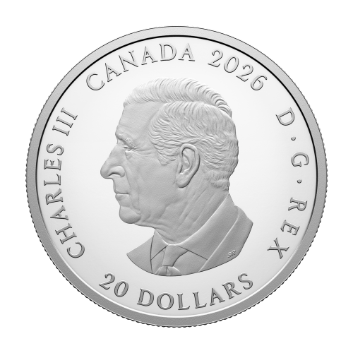 1 oz 2026 Celebrating Canada's Diversity: Resilience and Unity Proof Silver Coin | Royal Canadian Mint