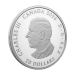 1 oz 2026 Celebrating Canada's Diversity: Resilience and Unity Proof Silver Coin | Royal Canadian Mint