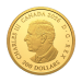 1 oz 2026 Celebrating Canada's Diversity: Resilience and Unity Proof Gold Coin | Royal Canadian Mint