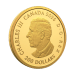 1 oz 2026 Celebrating Canada's Diversity: Resilience and Unity Proof Gold Coin | Royal Canadian Mint