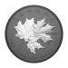 1 oz 2026 Triple Maple Black Rhodium Plated Proof Silver Coin | Royal Canadian Mint