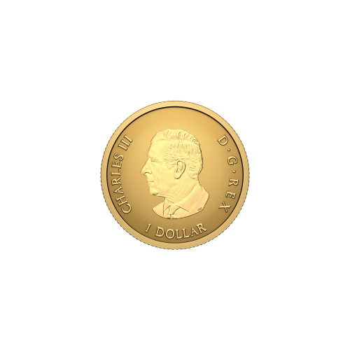 0.5 gram 2027 Iconic Canadian Maple Leaf Reverse Proof Gold Coin | Royal Canadian Mint