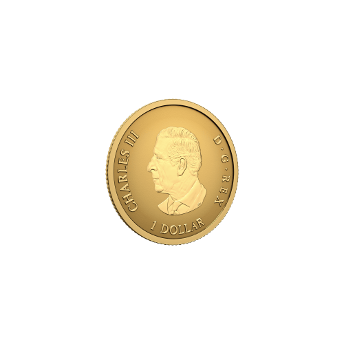 0.5 gram 2027 Iconic Canadian Maple Leaf Reverse Proof Gold Coin | Royal Canadian Mint