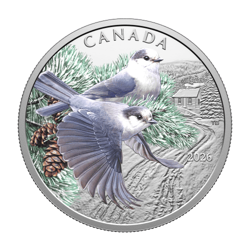 1 oz 2026 Colourful Birds: Canada Jays Colourized Proof Silver Coin | Royal Canadian Mint