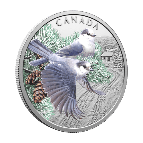 1 oz 2026 Colourful Birds: Canada Jays Colourized Proof Silver Coin | Royal Canadian Mint