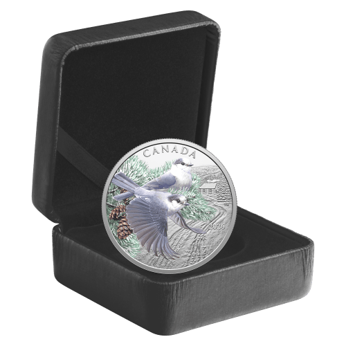1 oz 2026 Colourful Birds: Canada Jays Colourized Proof Silver Coin | Royal Canadian Mint