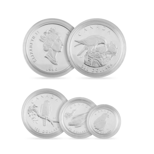 Set of 4 x 1996 Peregrine Falcon Platinum Coins | Royal Canadian Mint