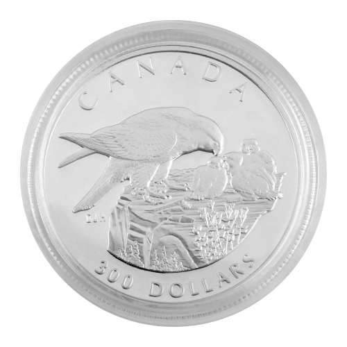 Set of 4 x 1996 Peregrine Falcon Platinum Coins | Royal Canadian Mint
