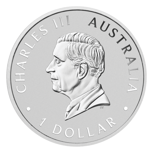 1 oz 2026 Perth Money Expo ANDA Special: Australian Swan Colourized Silver Coin | Perth Mint